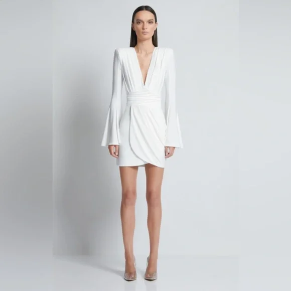 NWT ZHIVAGO THE FAN DRESS Size 6 - Picture 7 of 15